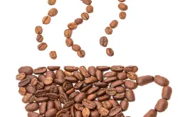 咖啡 咖啡的香气 咖啡的油脂 香气 来源于咖啡的蛋白质