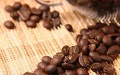 咖啡豆产区-南美洲秘鲁咖啡介绍 秘鲁咖啡产地 秘鲁咖啡特点 秘鲁