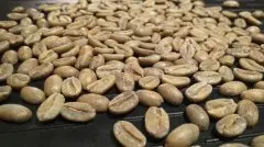 精品咖啡介绍——危地马拉产区的咖啡特征 危地马拉咖啡风味特色