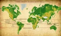 非洲精品咖啡豆生产地介绍 非洲咖啡产国有那些 非洲什么地方出产