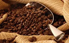 咖啡的加工 咖啡的烘焙 咖啡的烘烤 咖啡的烘焙过程