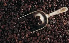 危地马拉产区咖啡介绍——微微特南果高地咖啡产地 危地马拉咖啡