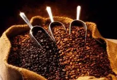 精品咖啡豆知识 巴西波旁山度士咖啡介绍 波旁山咖啡种植 波旁山