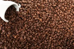 咖啡豆有哪些成分？咖啡因 丹宁酸 蛋白质 糖份 矿物质 香气，味