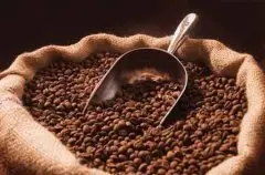 咖啡豆中的王者 危地马拉安提瓜精品咖啡 危地马拉咖啡的介绍 危