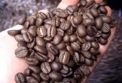 卢旺达精品咖啡介绍 卢旺达咖啡的特色 卢旺达波旁咖啡 卢旺达咖