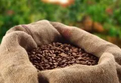 哥伦比亚精品咖啡介绍——高产量的优质咖啡豆 哥伦比亚咖啡种植