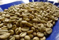 埃塞比亚西达摩精品咖啡产地介绍——夏奇索咖啡产区 精品咖啡产