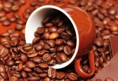 精品咖啡介绍——阿拉比卡咖啡豆 阿拉比卡咖啡豆的风味 阿拉比卡