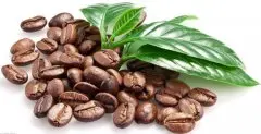 生豆的处理方法介绍——水洗法 什么是水洗法？ 如何处理咖啡生豆