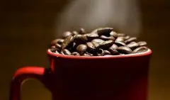 精品咖啡介绍——苏门答腊爪哇咖啡 爪哇咖啡的种植简介 爪哇咖啡