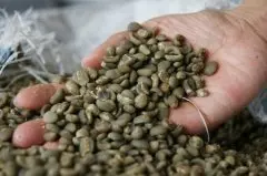 精品咖啡产地介绍——新几内亚 新几内亚咖啡口味特征 新几内亚咖