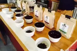 如何鉴别咖啡豆的品质