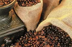 巴西咖啡的树种包括了波旁波旁变种卡杜拉巴西咖啡的世界咖啡产量
