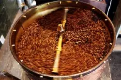 帕卡斯咖啡和马拉戈日皮咖啡的杂交品种萨尔瓦多帕克马拉咖啡