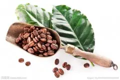 地马拉有七个主要咖啡产区危地马拉所生产的各种优质咖啡豆