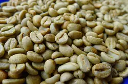 薇薇特南果进口生豆危地马拉中美洲SHB极硬豆单品咖啡生豆价格