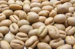 生豆批发价格巴布亚新几内亚水洗处理咖啡生豆奇迈尔庄园圆豆价格