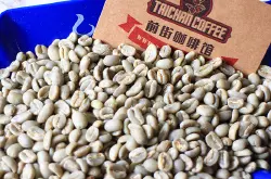 生豆价格哥斯达黎加精品咖啡生豆批发新鲜西部谷地舒玛瓦庄园日晒