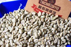 什么是半日晒？巴西精品生豆当季新鲜咖啡生豆波旁种南米娜斯产区