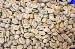 怎样的生豆才是优质的生豆呢？如何挑选咖啡生豆？埃塞俄比亚耶加