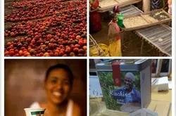 咖啡豆选购教程咖啡豆品牌种类指南肯尼亚咖啡AA亚拉庄园珍珠圓豆