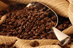 埃塞俄比亚水洗耶加雪菲达玛合作社咖啡豆做成咖啡咖啡豆多少钱