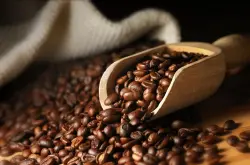 咖啡豆种子的批发价格咖啡豆种子的行情价格是多少?进口咖啡豆求
