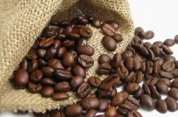 微微特南果/危地马拉/咖啡豆/薇薇特南果位于危地马拉微微特南果