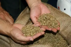 咖啡豆介绍耶加雪菲埃塞俄比亚西达摩非洲的埃塞俄比亚是咖啡原产
