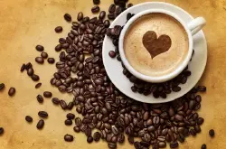 全球53个咖啡产地咖啡介绍水洗发酵日晒萨尔瓦多帕卡马拉种Ataisi