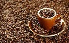 瑰夏咖啡的介绍美味瑰夏咖啡的特点巴拿马咖啡豆