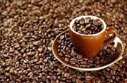 咖啡礼赞 星巴克 埃塞俄比亚咖啡埃塞俄比亚咖啡豆品级分析