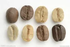 巴西咖啡的生产量占世界的总量的1/3 巴西种植咖啡豆的地带