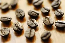 精品危地马拉咖啡豆的介绍危地马拉咖啡豆的简介
