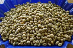 关于咖啡豆的正确做法 做咖啡豆需要什么工具