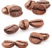 肯尼亚的咖啡庄园 IYEGO合作农场的咖啡豆