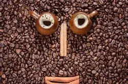 精品咖啡印度尼西亚咖啡豆 咖啡豆  咖啡豆做法 咖啡豆价格