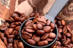 精品咖啡肯尼亚咖啡品质原生种