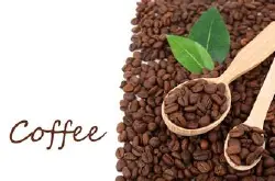 精品咖啡洪都拉斯咖啡风味干净，烤坚果，牛奶巧克力