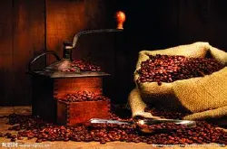 精品咖啡巴拿马咖啡起源巴拿马咖啡做法 咖啡 咖啡豆