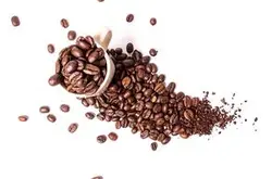 罗曼宁咖啡豆品种苏门答腊岛林东