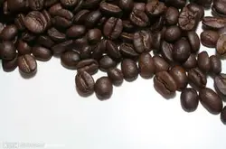 咖啡是肯尼亚的特产吗 肯尼亚咖啡树