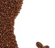巴布亚新几内亚咖啡树生长旺盛