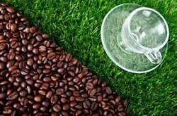 咖啡的营养成分 咖啡的等级规划
