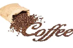 雷纳斯庄园 各国生咖啡豆的烘焙方式
