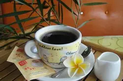 哥斯达黎加咖啡豆产地 特点