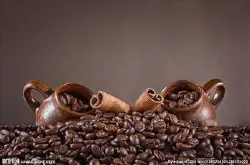 单品咖啡豆的种类和特点
