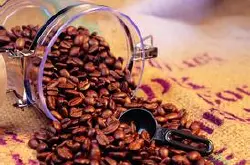 咖啡豆生产方法咖啡产区