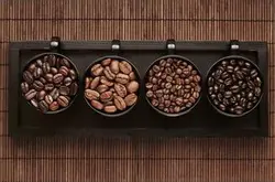 哥伦比亚咖啡产地品质物种形态